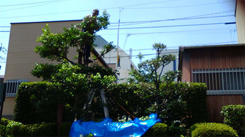 好みや希望を汲み取ったお庭の空間を実現します